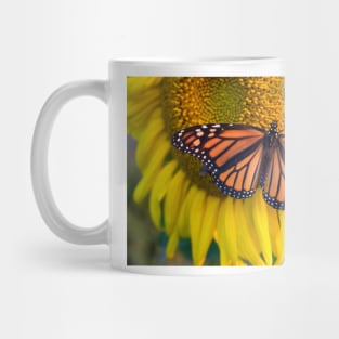 Sunflower and butterfly, Hebron MD USA Mug